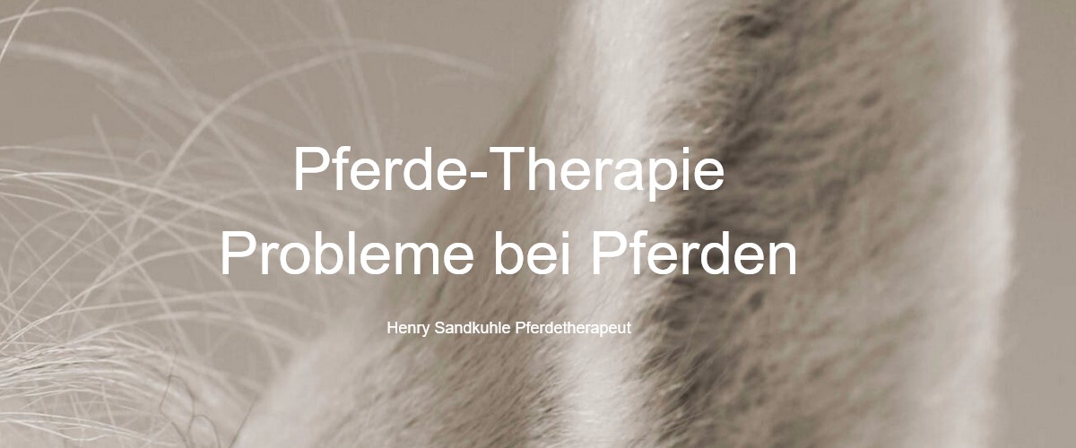 henrysandkuhle.com henrysandkuhle.com